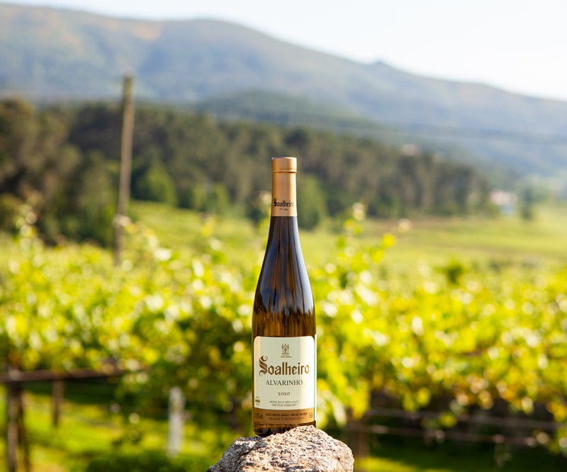 WINEMAKING PHILOSOPHY - FRUITY-min