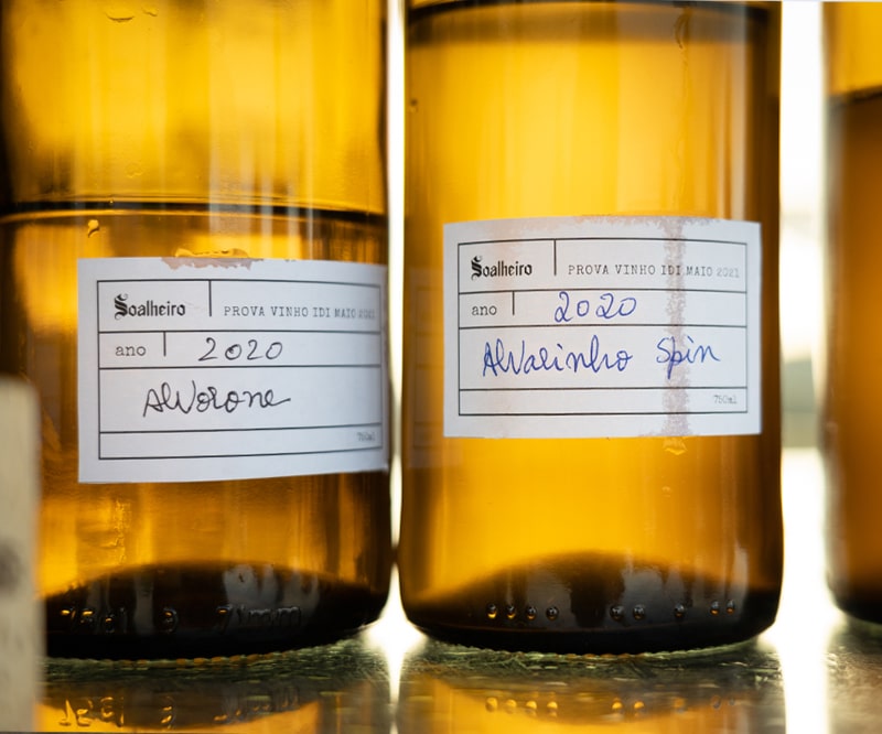 WINEMAKING PHILOSOPHY - INNOVATION AND PARTNERSHIPS 1-min